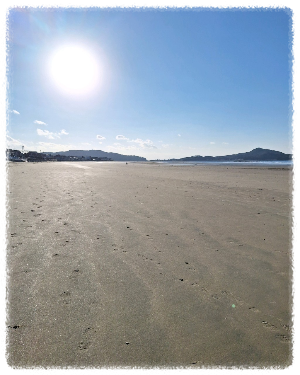 신두리 해수욕장