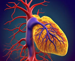 콜레스테롤 낮추는 방법 10가지