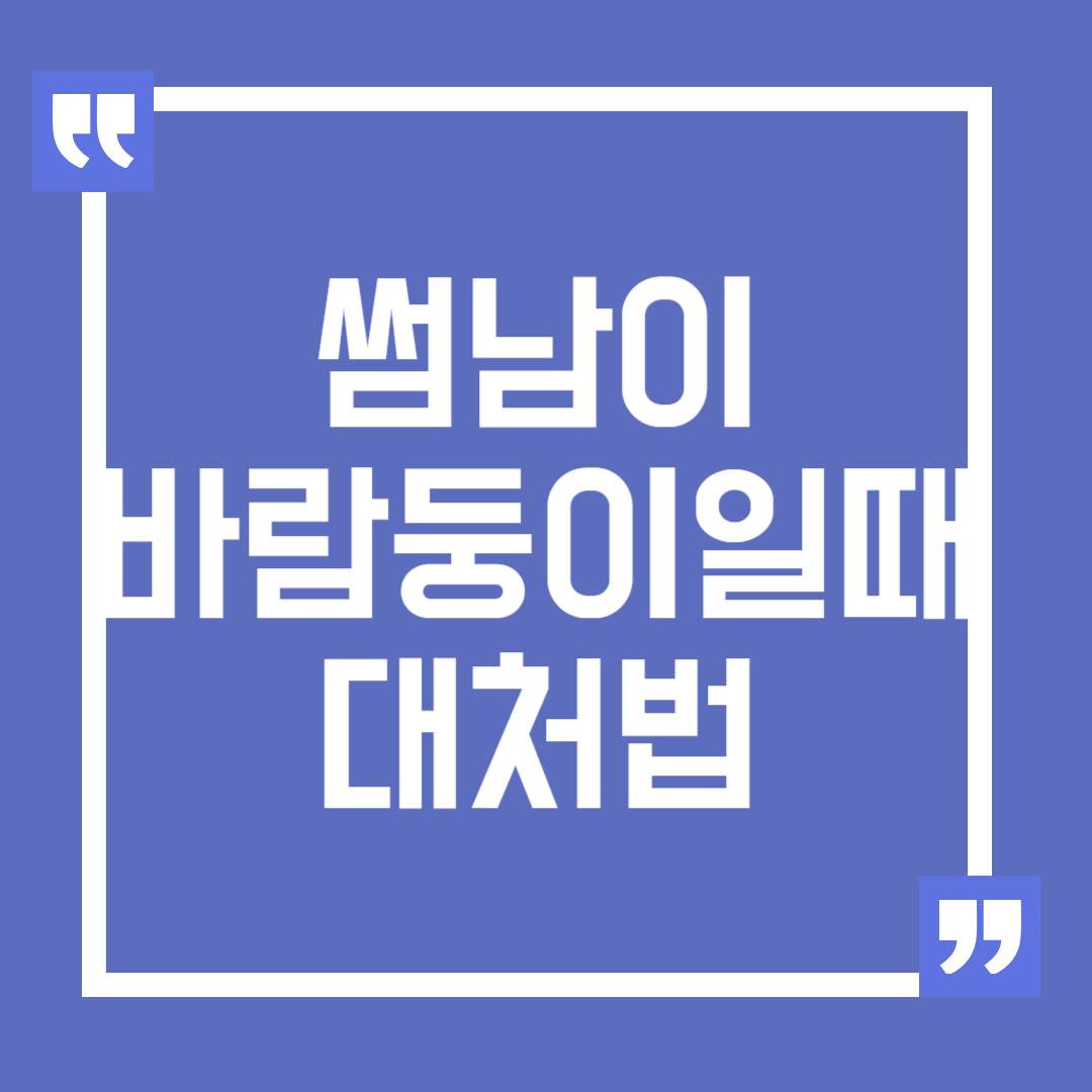 썸남이 바람둥이일 때 대처법은?