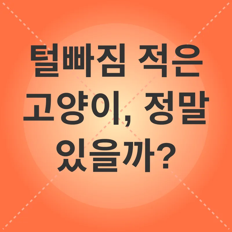 털빠짐 적은 고양이_1