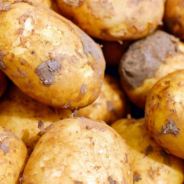 갑상선 암에 좋은 음식