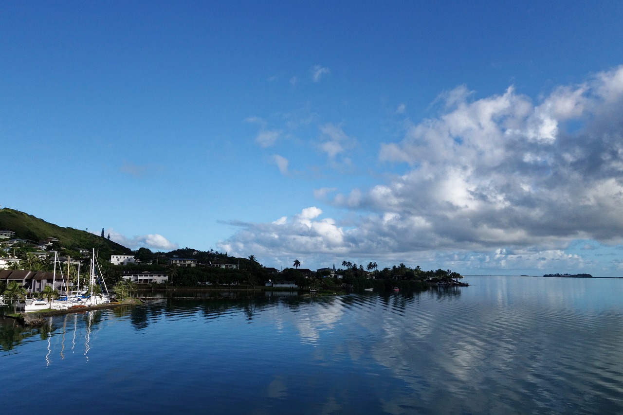 하와이 여행 경비 총정리 비행기부터 숙소, 물가까지 현실 예산