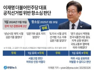 이재명 파기환송에 대한 민주당 의견