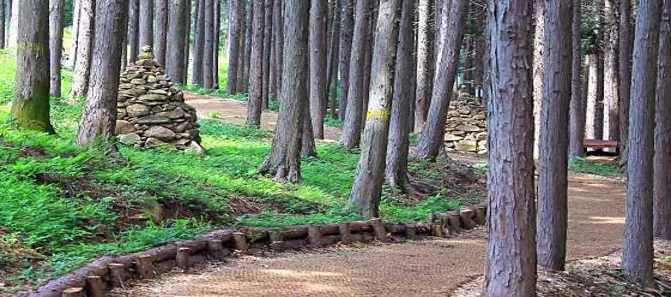 사천케이블카 자연휴양림