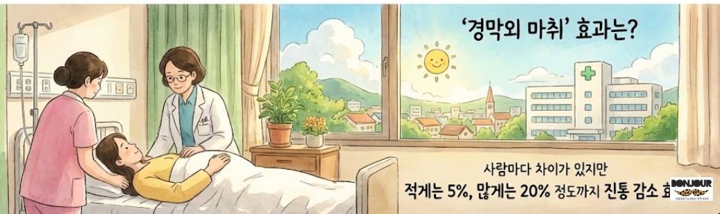 무통주사의 효능 이미지