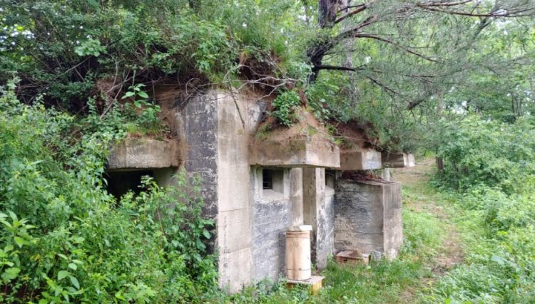 DMZ 펀치볼 둘레길