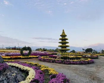 연천 국화축제_10