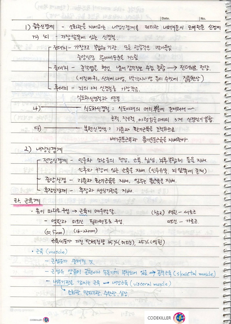 중추신경계, 내장신경계