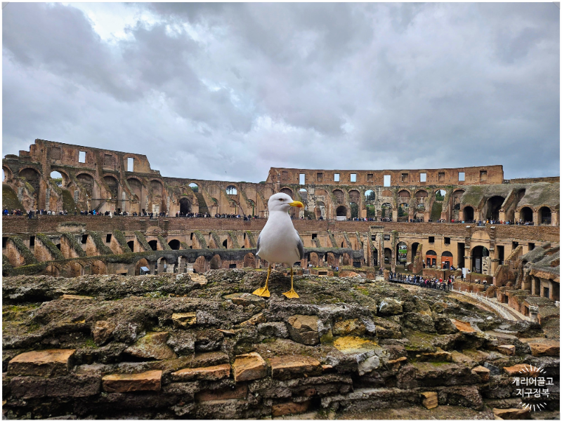 로마의 콜로세움에 가다.