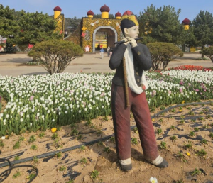 태안튤립박람회