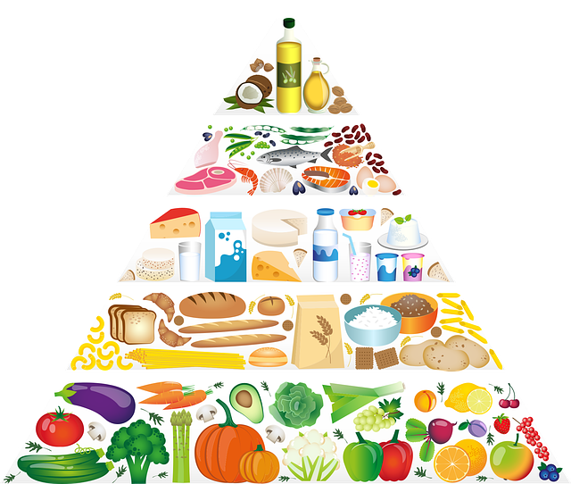 청국장의 단백질 함량과 영양적 가치 분석