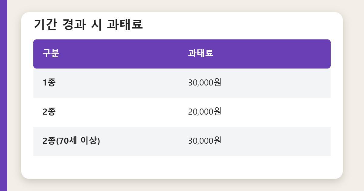갱신 기간 경과 시 과태료 표 이미지