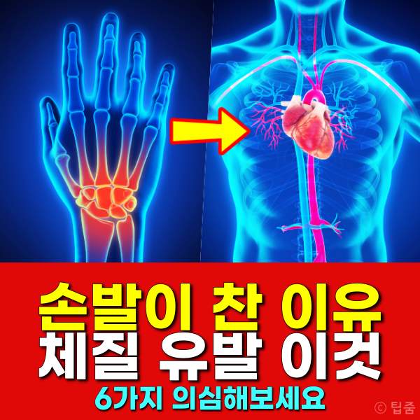 손발이 찬 이유,손발이 찬 체질,수족냉증