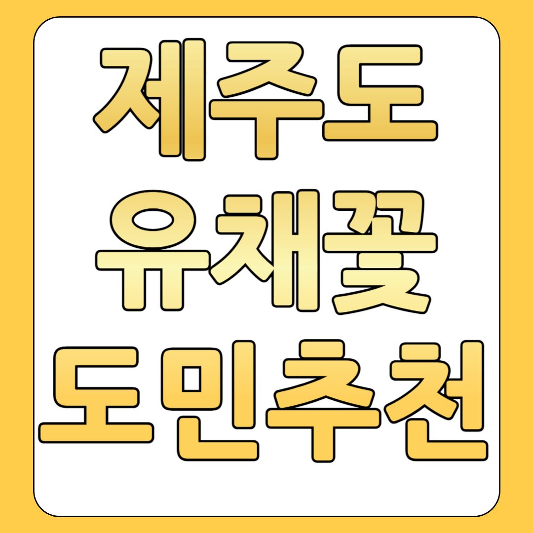 제주도 유채꽃 명소 TOP3 제주도민 추천