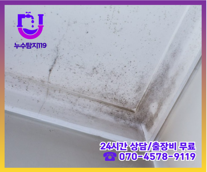 장항동 아파트 빌라 화장실 천장 누수2