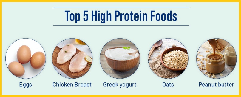 고단백질 음식