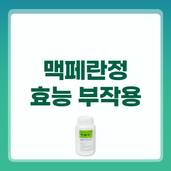 맥페란정 효능 효과 부작용 복용법