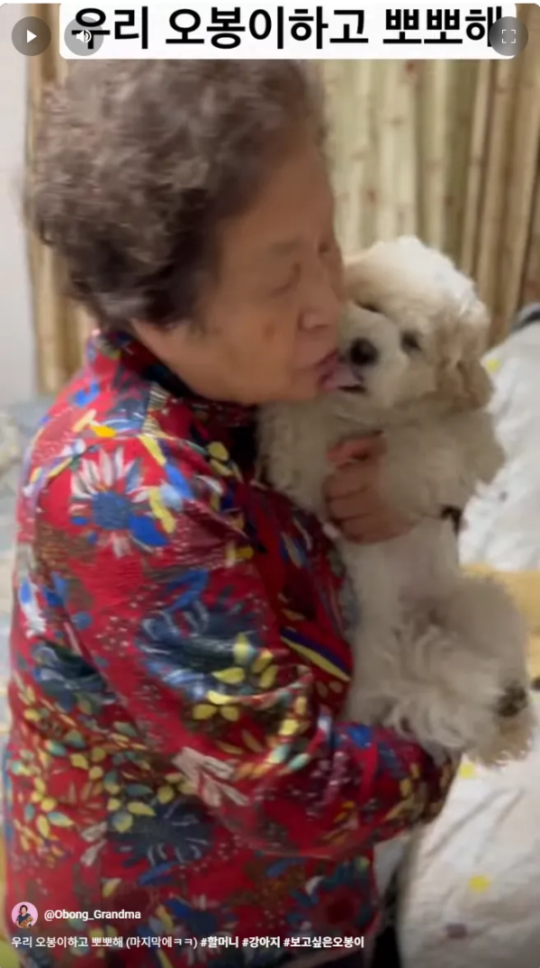 치매할머니와 반려동물