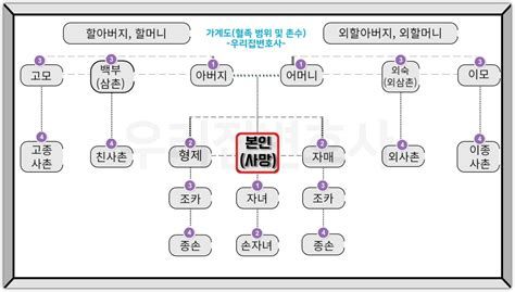 재산상속비율