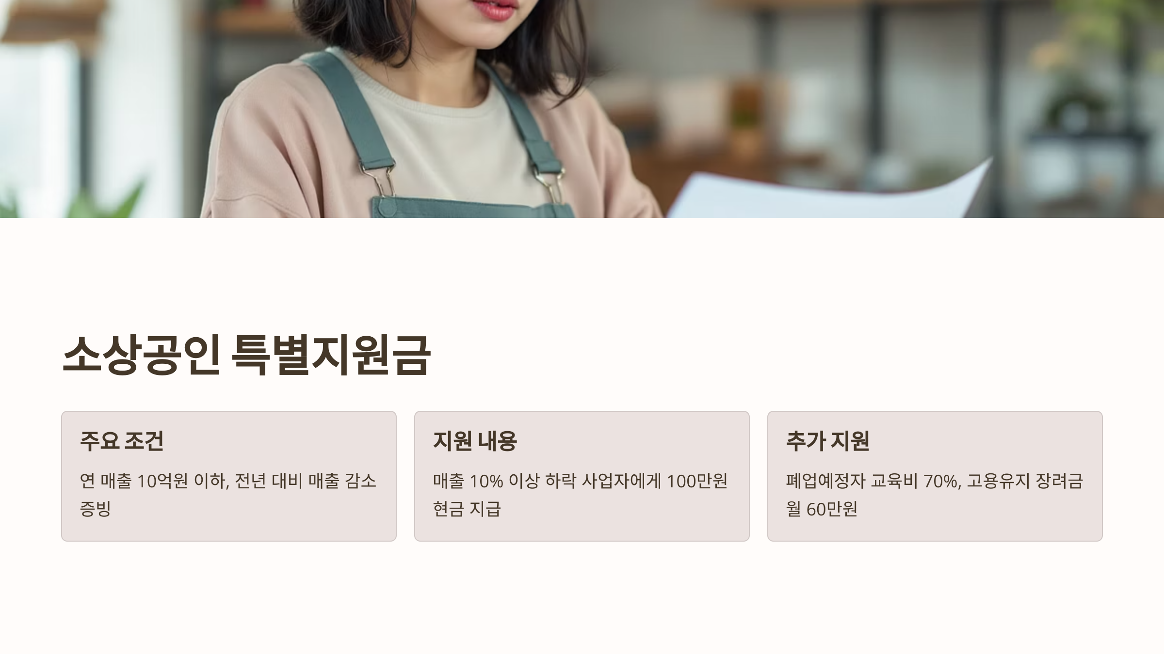 소상공인 특별지원금