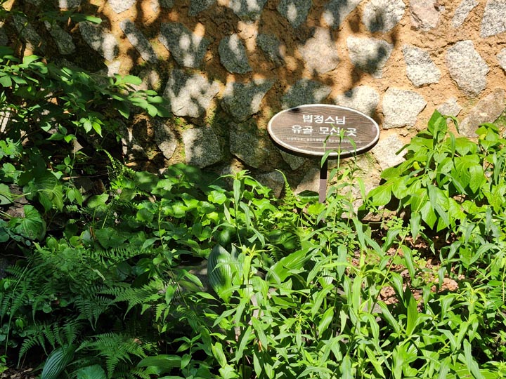 법정스님유골모신곳