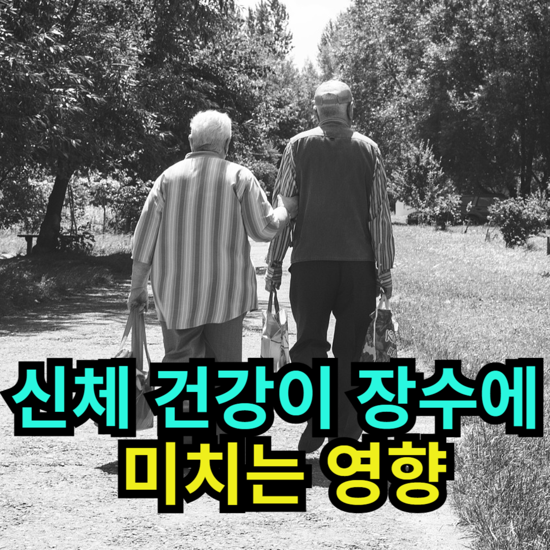 신체 건강이 장수에 미치는 영향