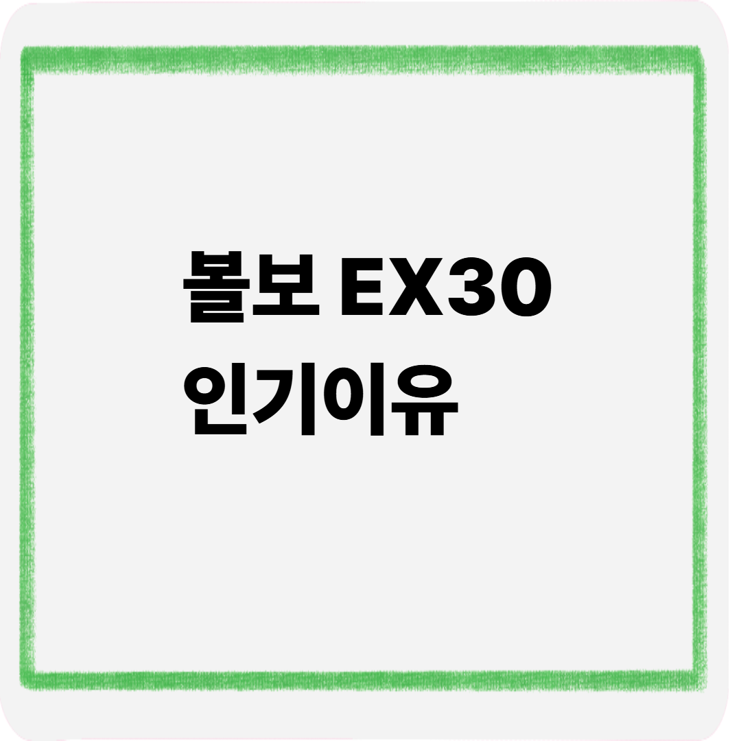 볼보 EX30 인기이유