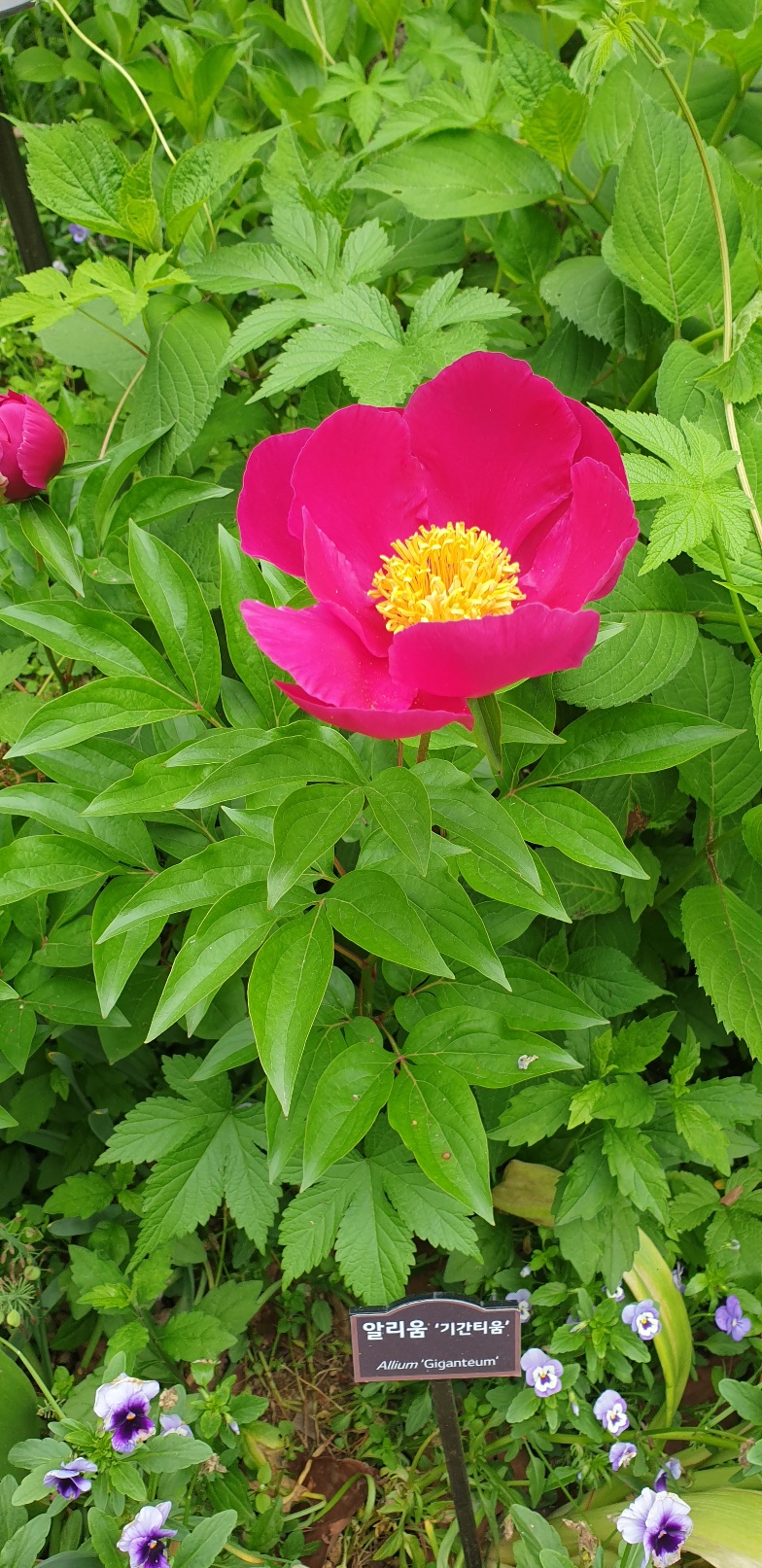 2026 수능 일정표