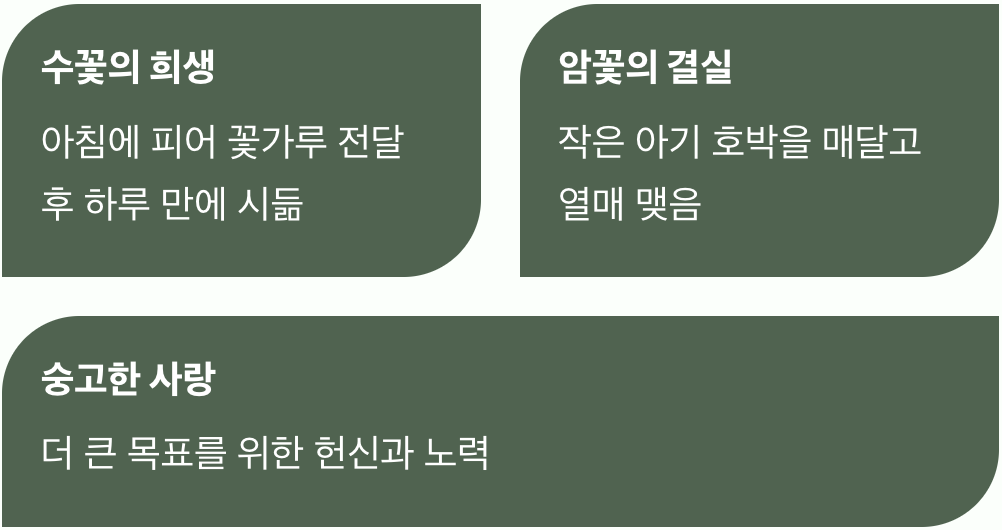 슬프고도 아름다운 두 송이의 사랑