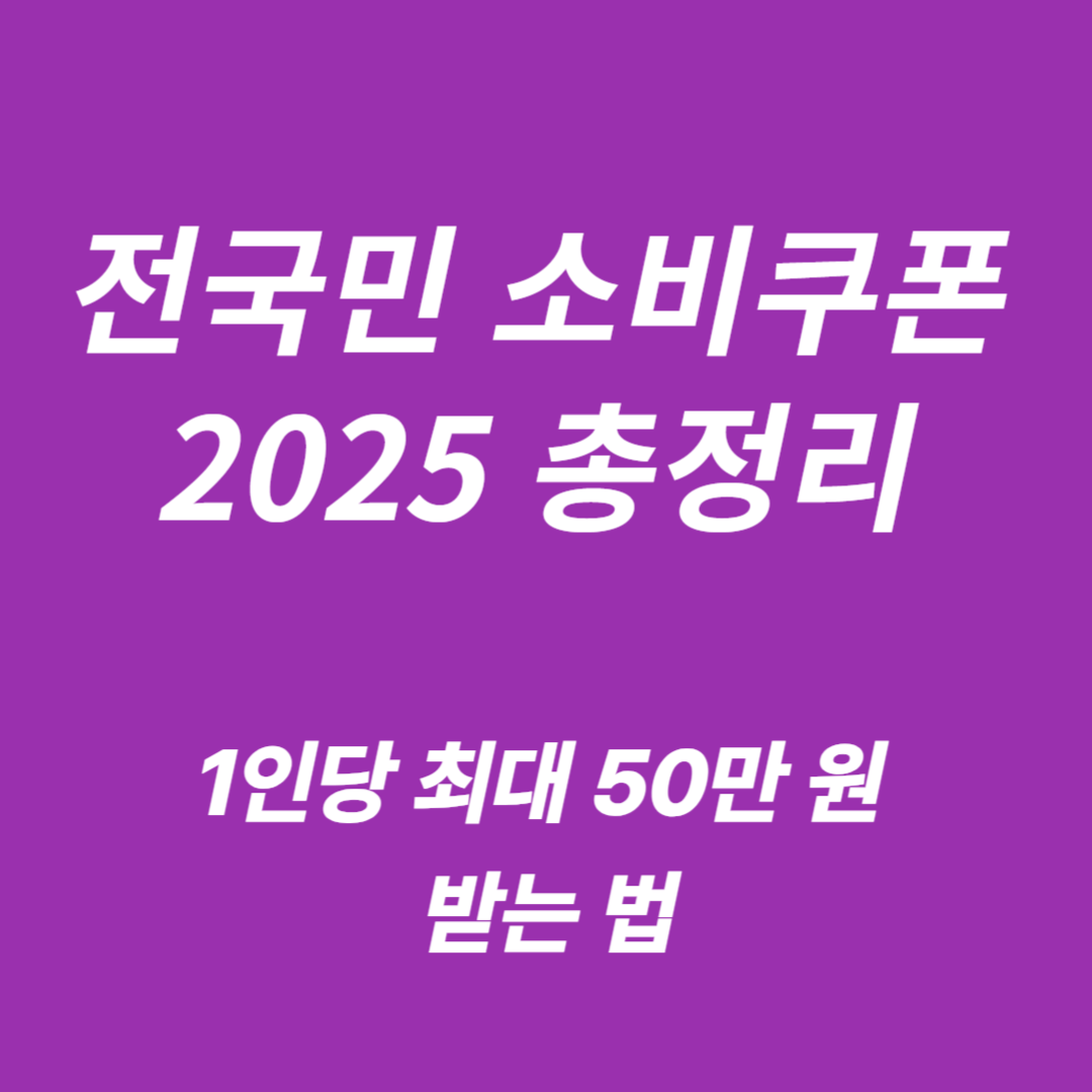 2025년 전국민 소비쿠폰