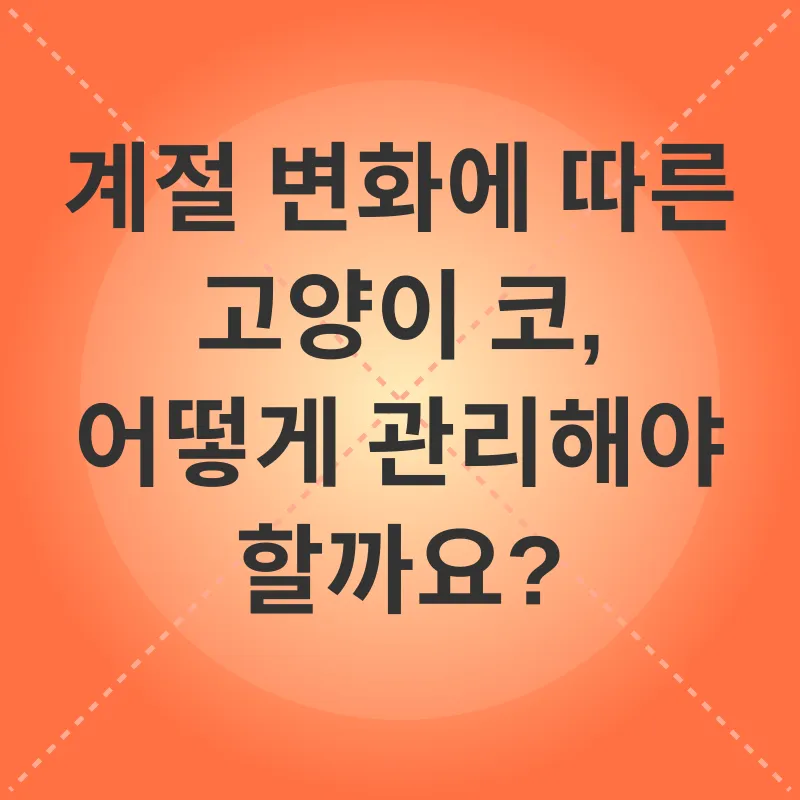 고양이 코 건강_2