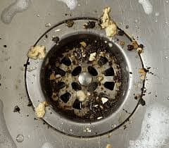 초파리가 생기는 진짜 이유