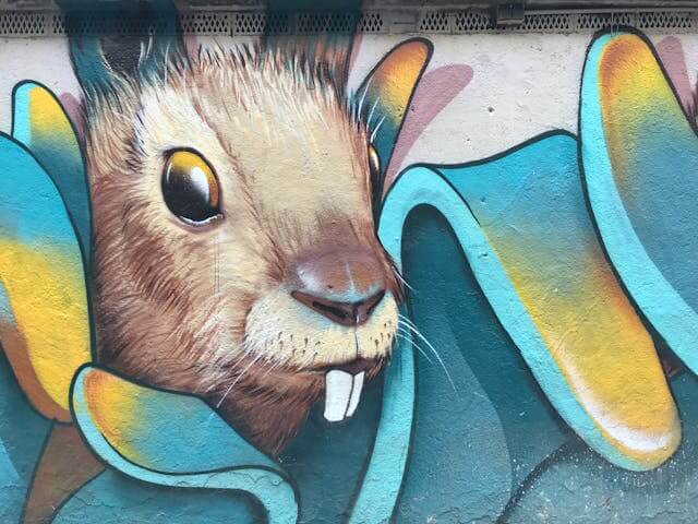 쥐꿈 해몽, 길몽일까 흉몽