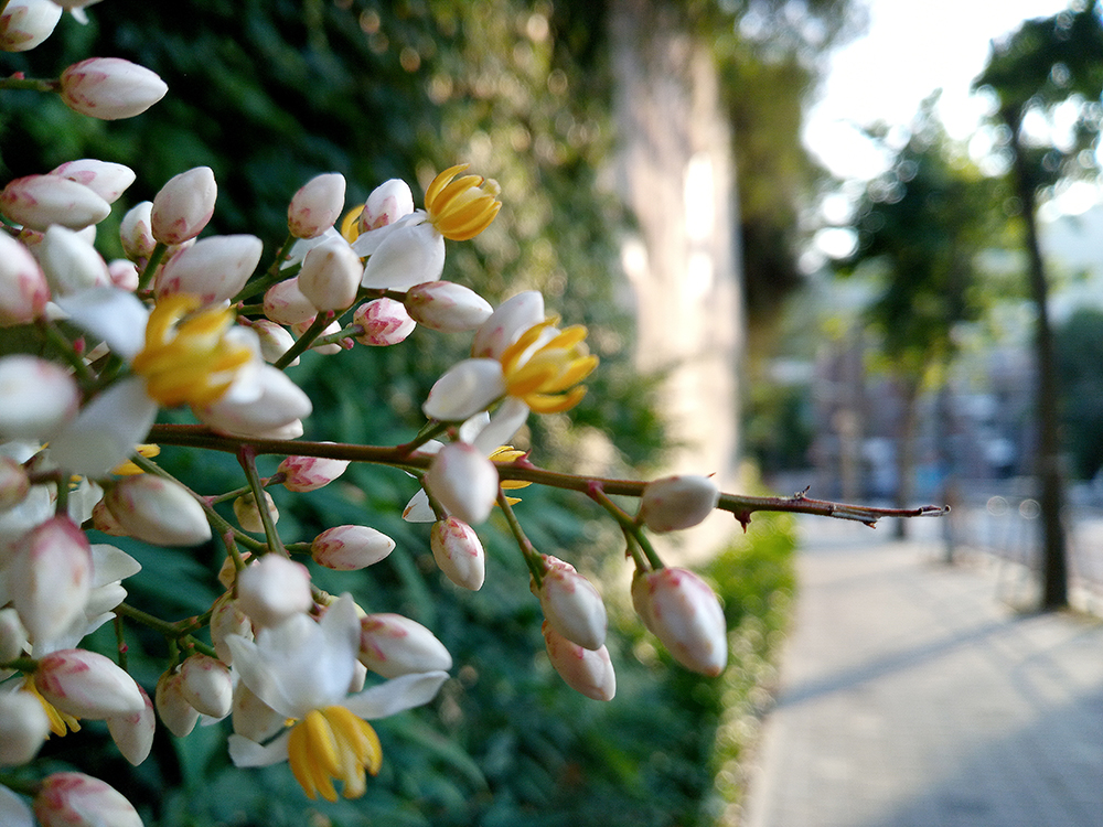 1004 프로젝트 여수봉산초등학교