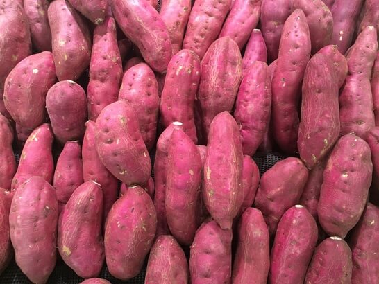 임신준비식단