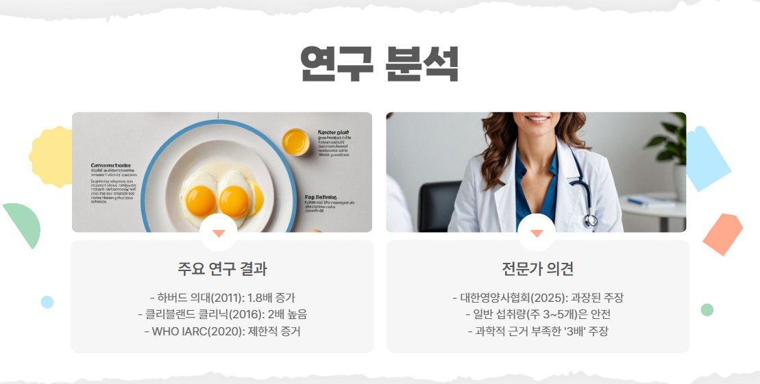 암 발병 주장: 연구 분석