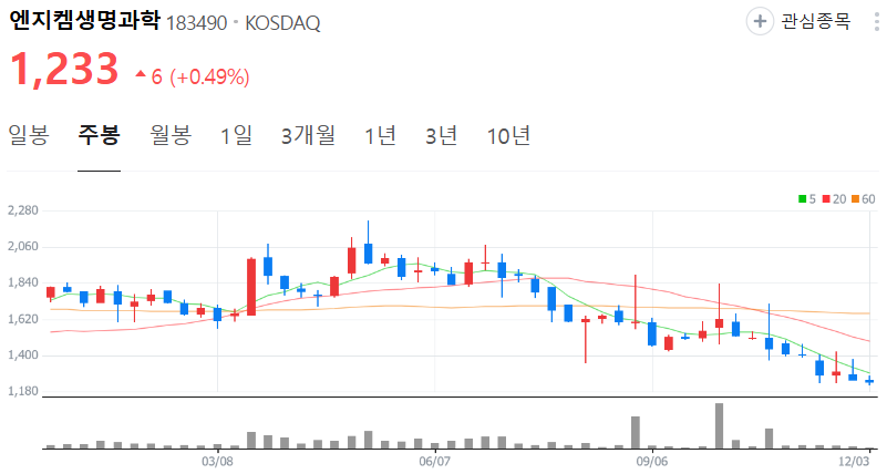 엔지켐생명과학-주가-주봉
