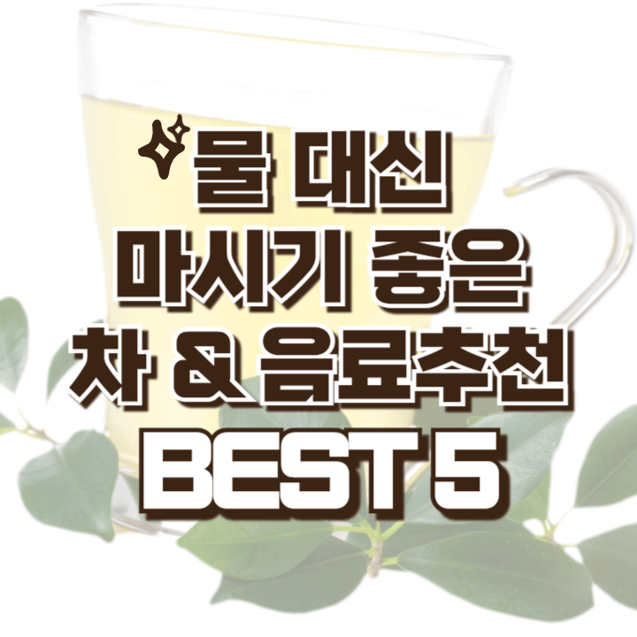 물 대신 마시기 좋은 음료와 차를 추천합니다