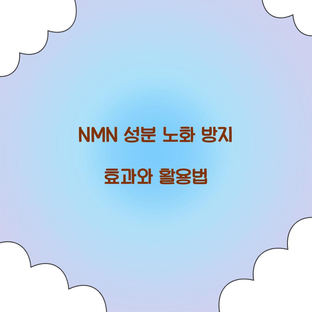 NMN 성분 노화 방지