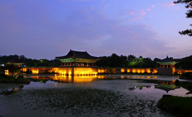 천년 고도의 겨울밤을 수놓는 황금빛 물결