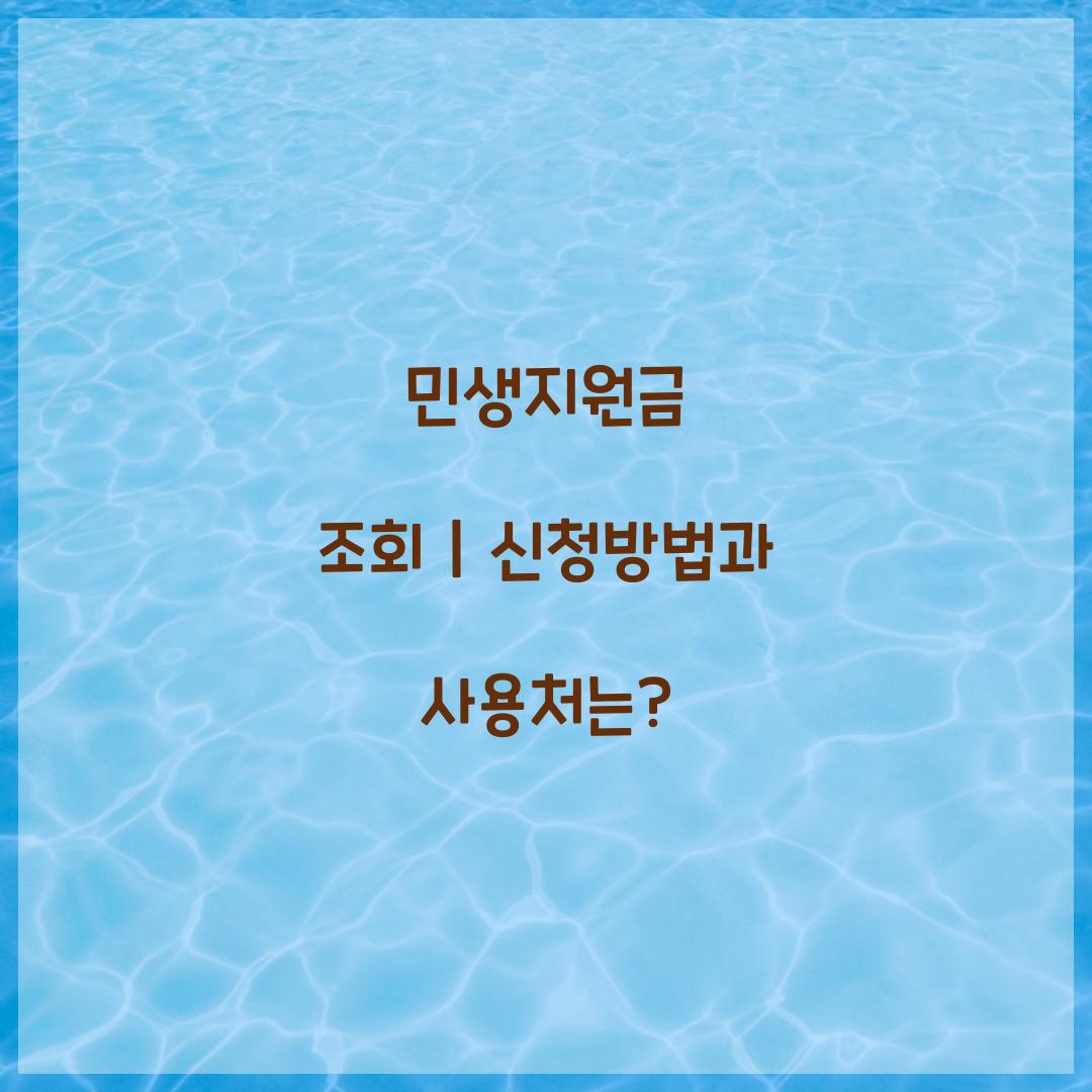 민생지원금 조회