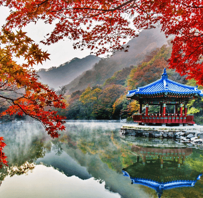 단풍여행 단풍트레킹 당일버스 여행