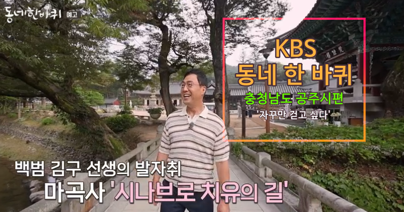 동네한바퀴 공주시편