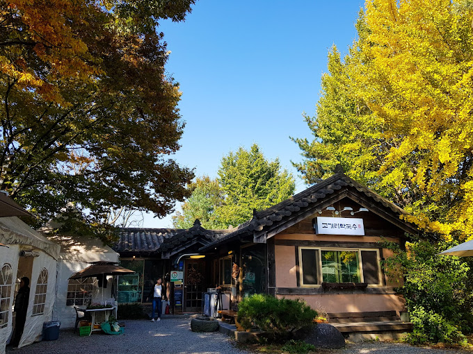 용인 수지 고기동 '고기리막국수'