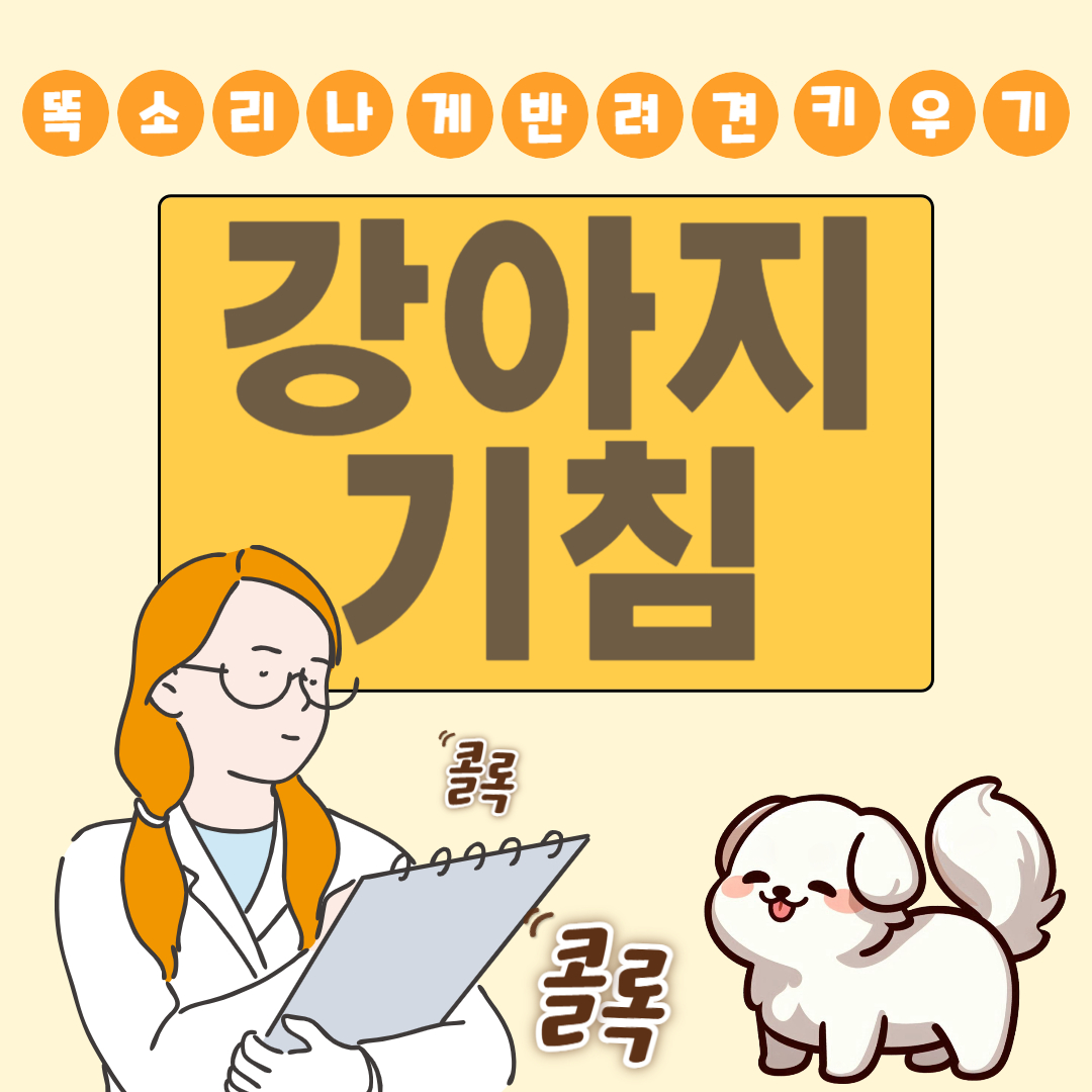 강아지 기침 원인 유형 관리 예방