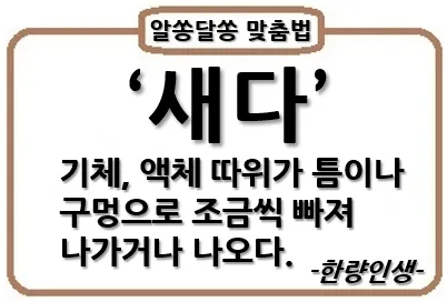 새어나오다 세어나오다 맞춤법 뜻 유래_3