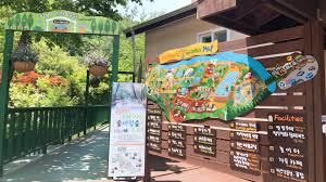 평창 허브나라 농원 3