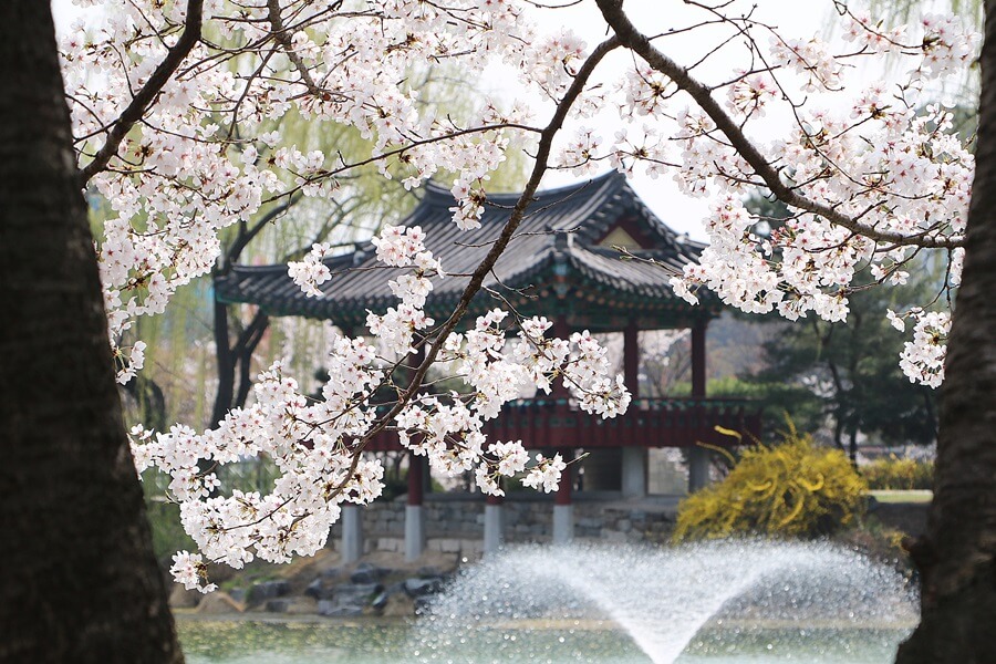 설봉공원 벚꽃 이천 안흥지 여주 벚꽃 포천 벚꽃 경기도 벚꽃 시기 경기도 광주 벚꽃 개화시기 경기도 벚꽃축제 경기도 벚꽃 글램핑 경기도 벚꽃캠핑 청평 캠핑장 당일치기 캠핑장 경기도 벚꽃 개화시기 충주 오토캠핑장 경기도 광주 벚꽃 어린이캠핑장 캠핑카 캠핑장 폐교 캠핑장 철원 캠핑장 동해 오토캠핑장 벚꽃축제진해 벚꽃관광 창원 벚꽃 명소 가을단풍명소 경주벚꽃펜션 진안마이산벚꽃 진해 벚꽃 여행 서울벚꽃호텔 내소사벚꽃 진해군항제벚꽃 경주 벚꽃 여행 영암 벚꽃 축제 영암벚꽃 국내벚꽃여행 경주벚꽃숙소 마이산벚꽃 하동 쌍계사 벚꽃 벚꽃구경