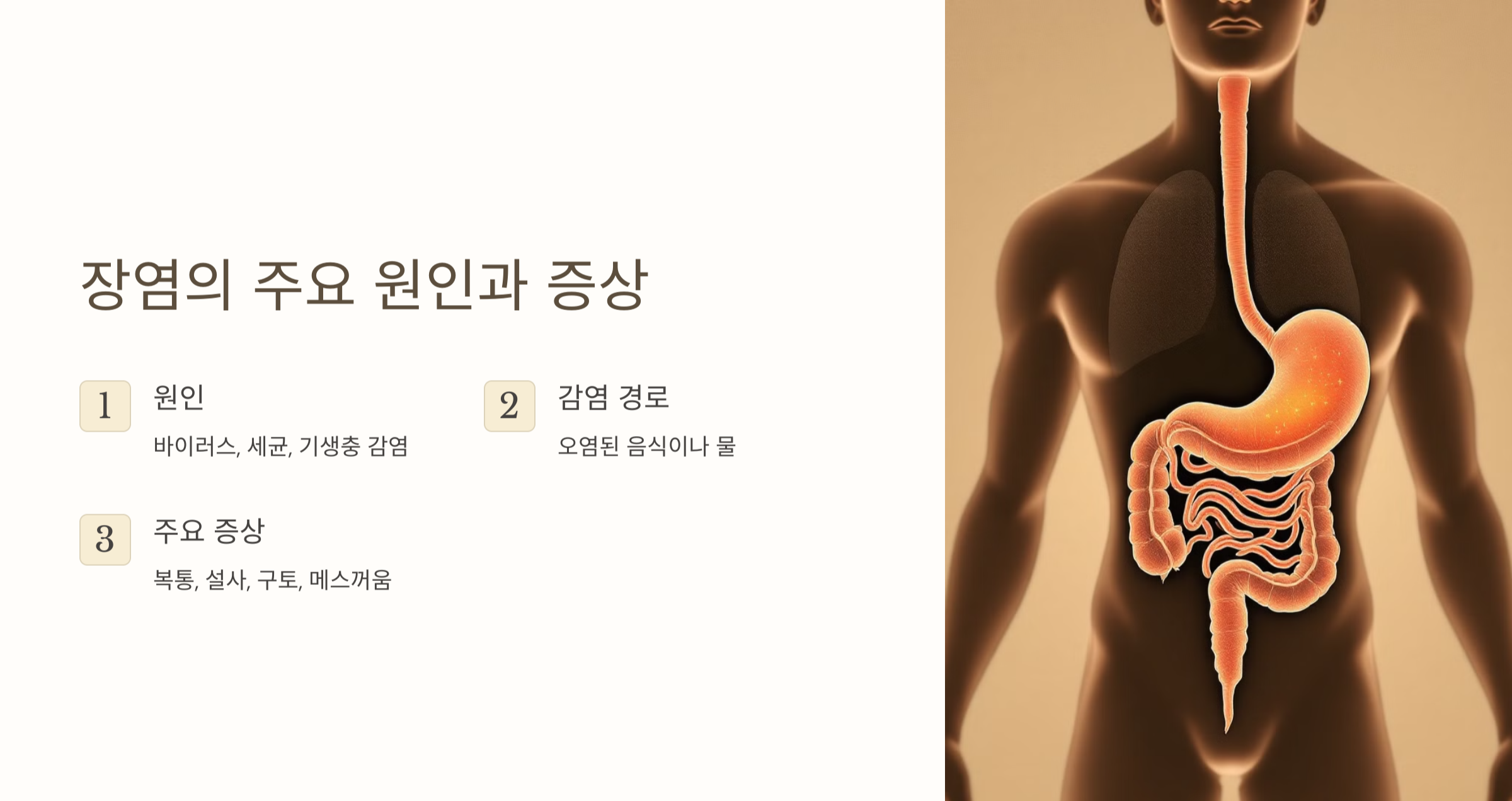 장염 주요 원인 증상 사진