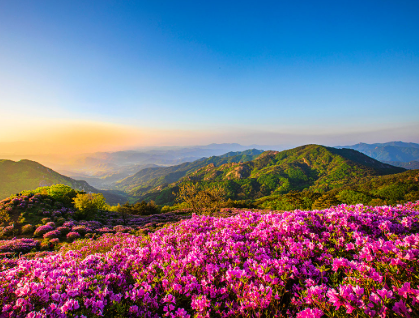 합천 황매산